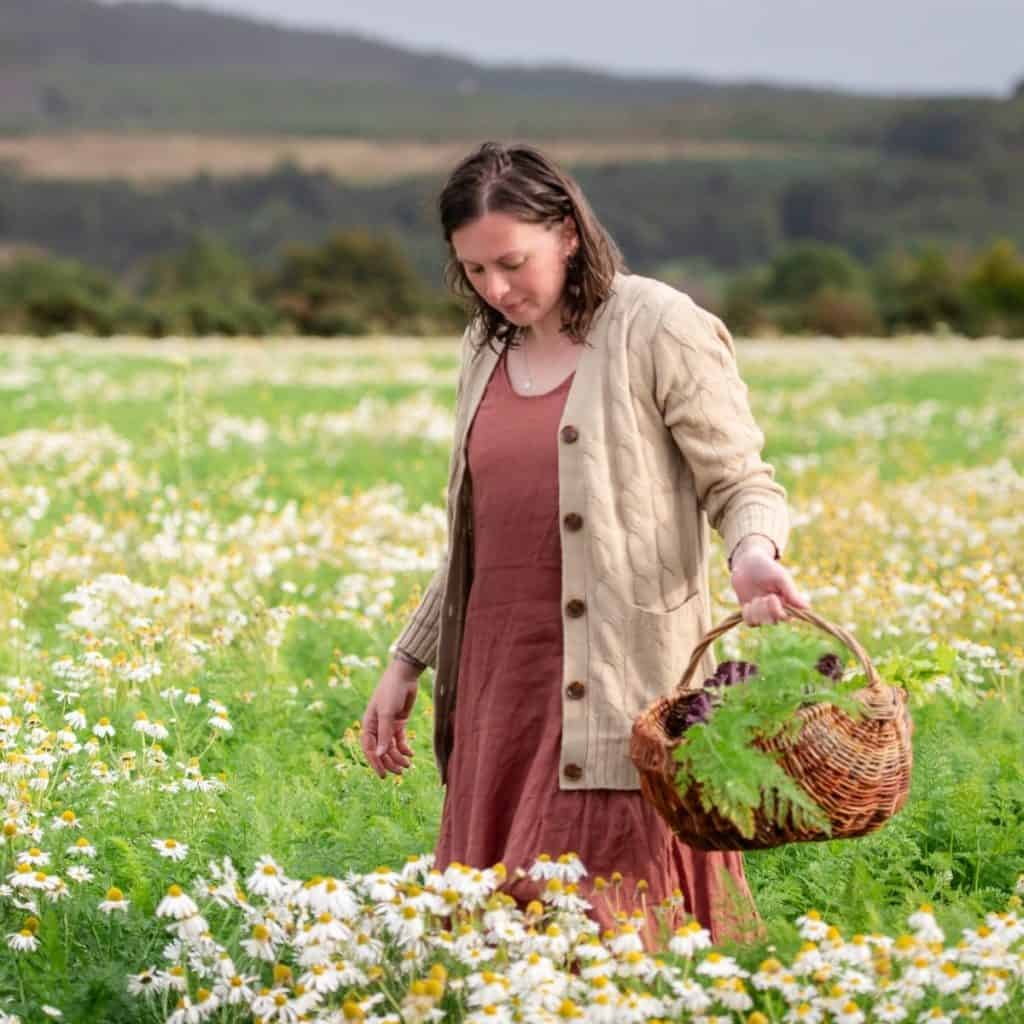 woman in a red linen dress and brown knit cardigan carries a willow basket through a field of sea-mayflower